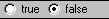 true/false Radio Button, false selected true/false Radio Button, false selected