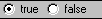 true/false Radio Button, true selected true/false Radio Button, true selected