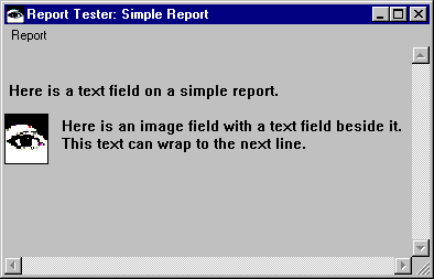 Report Tester Report Tester